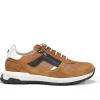 Fluchos ENZO F1770 Brown Sneakers- Men