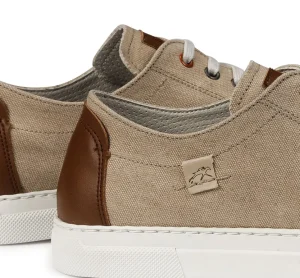 Fluchos NIKO F1415 Taupe Sneaker- Men